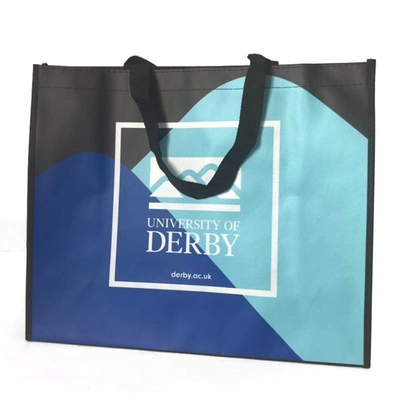 l'OEM de 50cm a stratifié le sac à provisions 100gsm non tissé