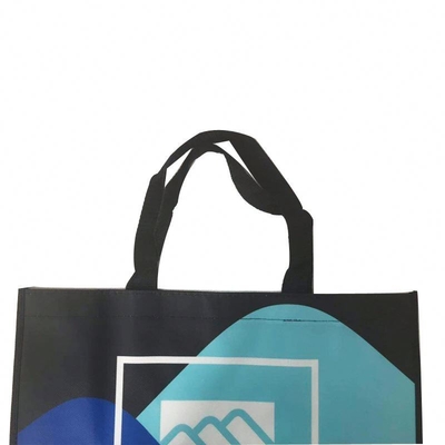 l'OEM de 50cm a stratifié le sac à provisions 100gsm non tissé