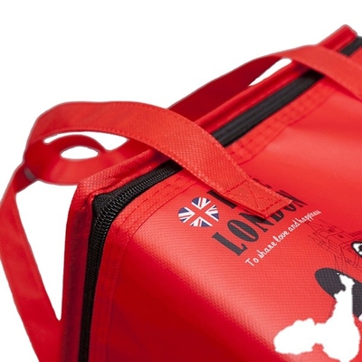 Le sac frais des enfants isolés de 25x25x15cm 80gsm 2mm EPE