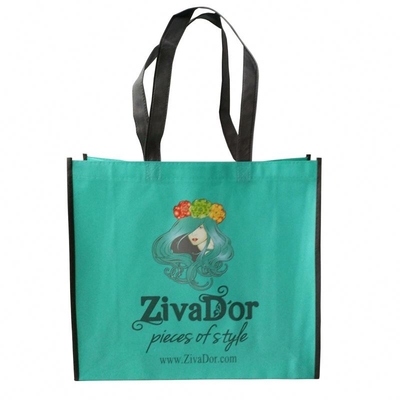 BOPP a stratifié le sac non tissé de Matt Biodegradable 100gsm pp
