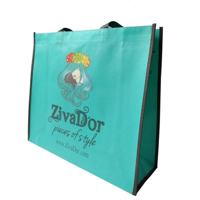 BOPP a stratifié le sac non tissé de Matt Biodegradable 100gsm pp