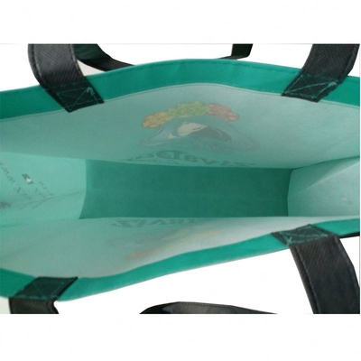BOPP a stratifié le sac non tissé de Matt Biodegradable 100gsm pp