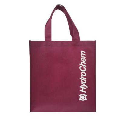 Sac non tissé écologique de 80gsm 1000pcs 30x15x35cm pp