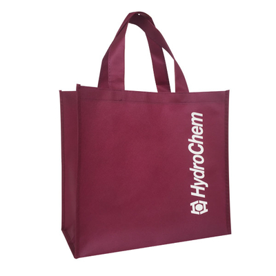 Sac non tissé écologique de 80gsm 1000pcs 30x15x35cm pp