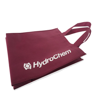 Sac non tissé écologique de 80gsm 1000pcs 30x15x35cm pp