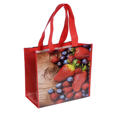 ODM 40x32x12cm 25kg 80gsm a stratifié les sacs tissés de polypropylène