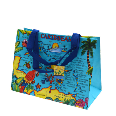 Sac tissé par polypropylène de TNT 3000pcs 120gsm 35x39.5cm