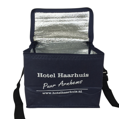 OEM non tissé 80gsm de 20x15x18cm CMKY a isolé un sac plus frais