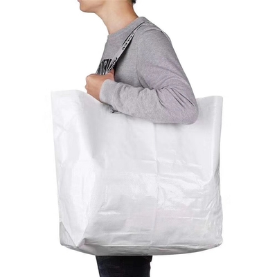 Sac libre AZOÏQUE polychrome des supermarchés 30cm 100gsm RPET d'OEM